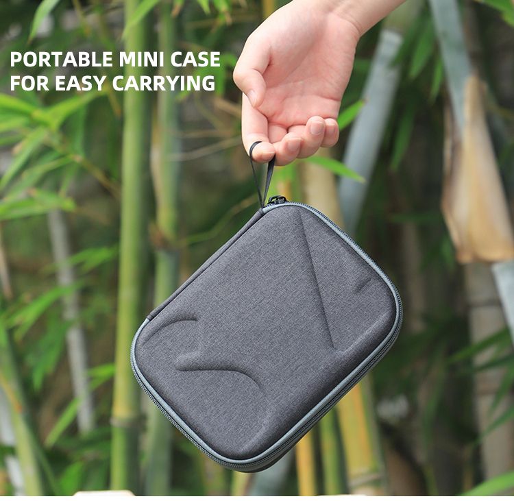 Sunnylife Mini Carrying Case for DJI FPV Remote Controller 2