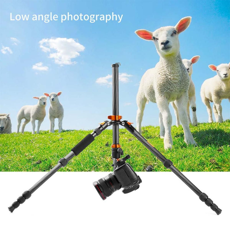 K&F Concept 56.7" Carbon Fiber Tripod with 360° Ball Head and Detachable Monopod