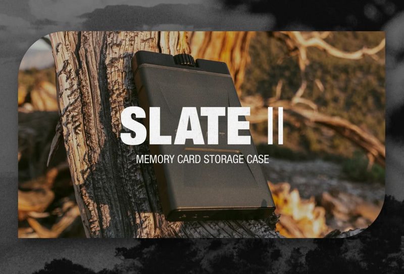 PolarPro Slate II CF Express B Edition Memory Card Case (Desert)